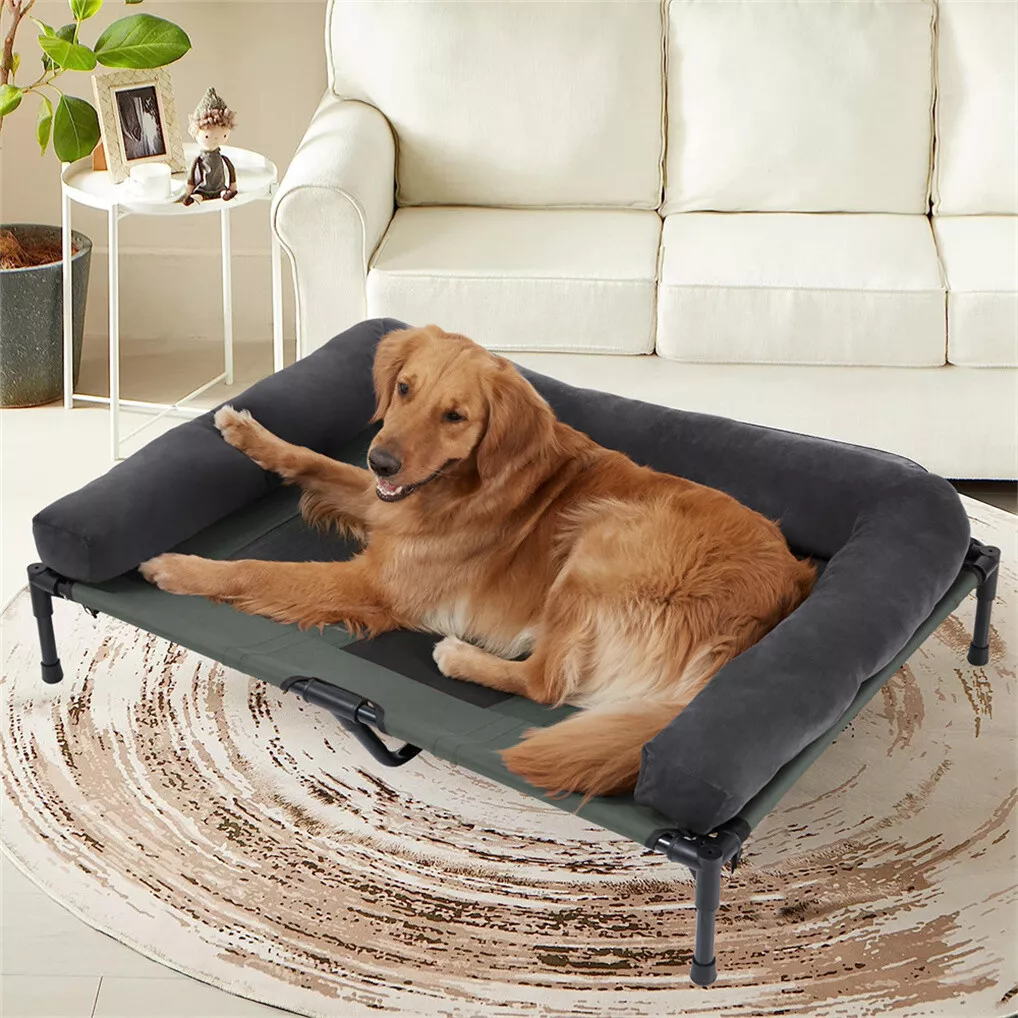 BINGOPAW Elevated Dog Bed Mesh - Outdoor Camping Dog Bed recension och pris
