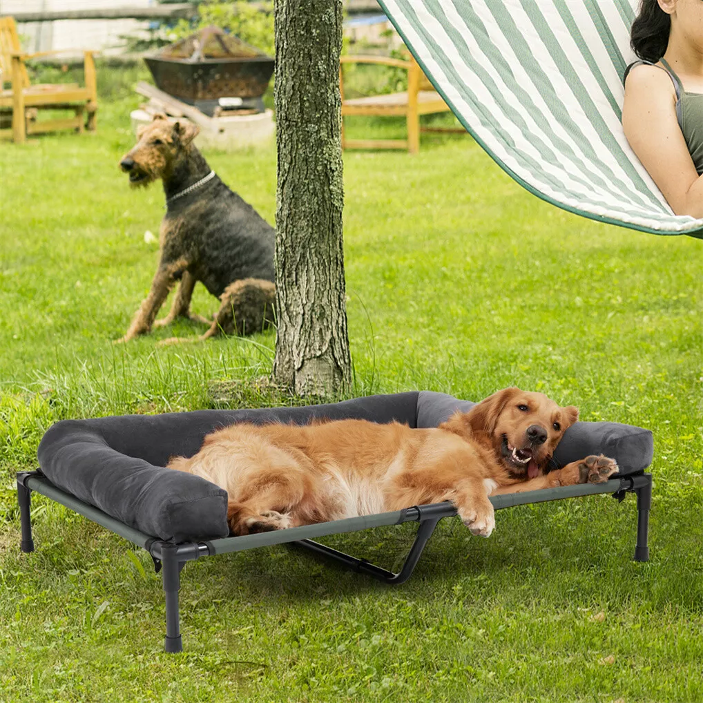 BINGOPAW Elevated Dog Bed Mesh - Outdoor Camping Dog Bed recension och pris