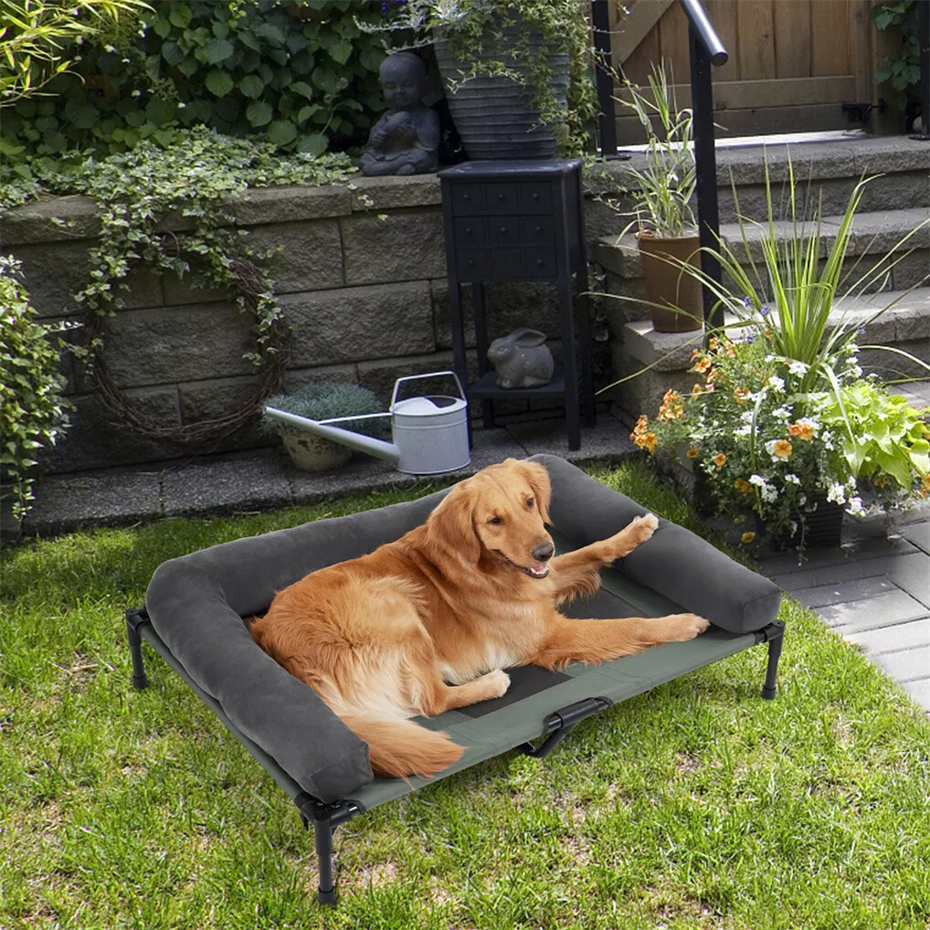 BINGOPAW Elevated Dog Bed Mesh - Outdoor Camping Dog Bed recension och pris